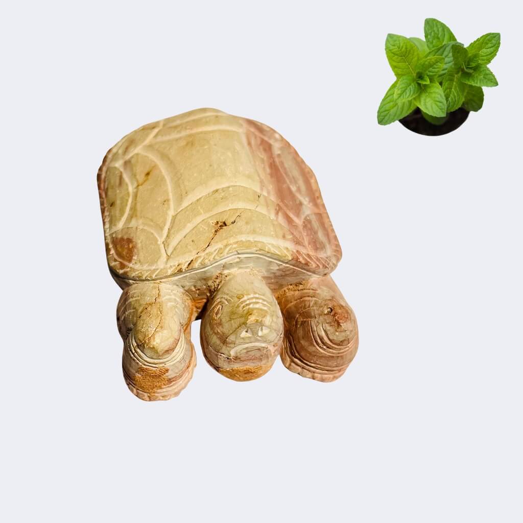 Handcrafted Stone Artefact | Turtle (Medium) - Taalapatra Vibes