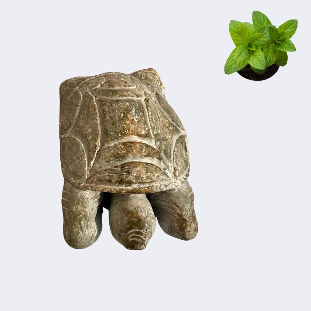 Handcrafted Stone Artefact | Turtle (Small) - Taalapatra Vibes