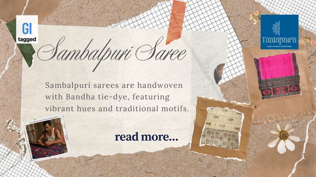 Taalapatra_Desktop_Sambalpuri_Saree